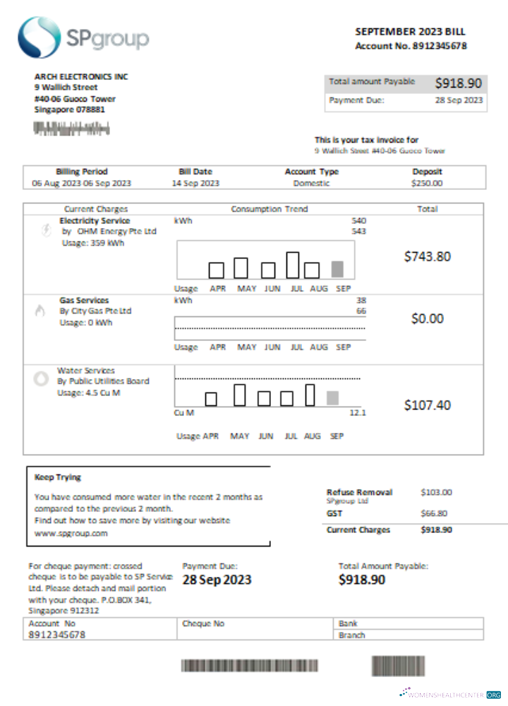 Download SP Group utility business bill SCR, page 1 Photoshop template